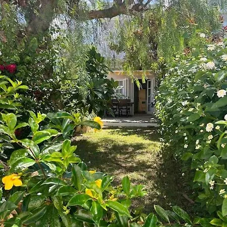 Casa Buganvilla Dom wakacyjny